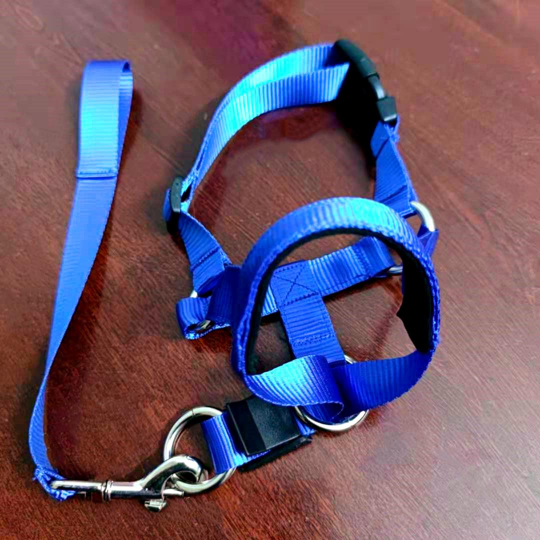 

Dog Muzzle | Anti-Bite & Anti-Ingestion | Pet Supplies in Stock Small синий