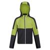 Regatta Childrens/Kids Acidity VI Lightweight Soft Shell Jacket