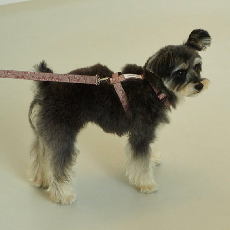 Foreverybari Marble Heart Harness (Chocolate)