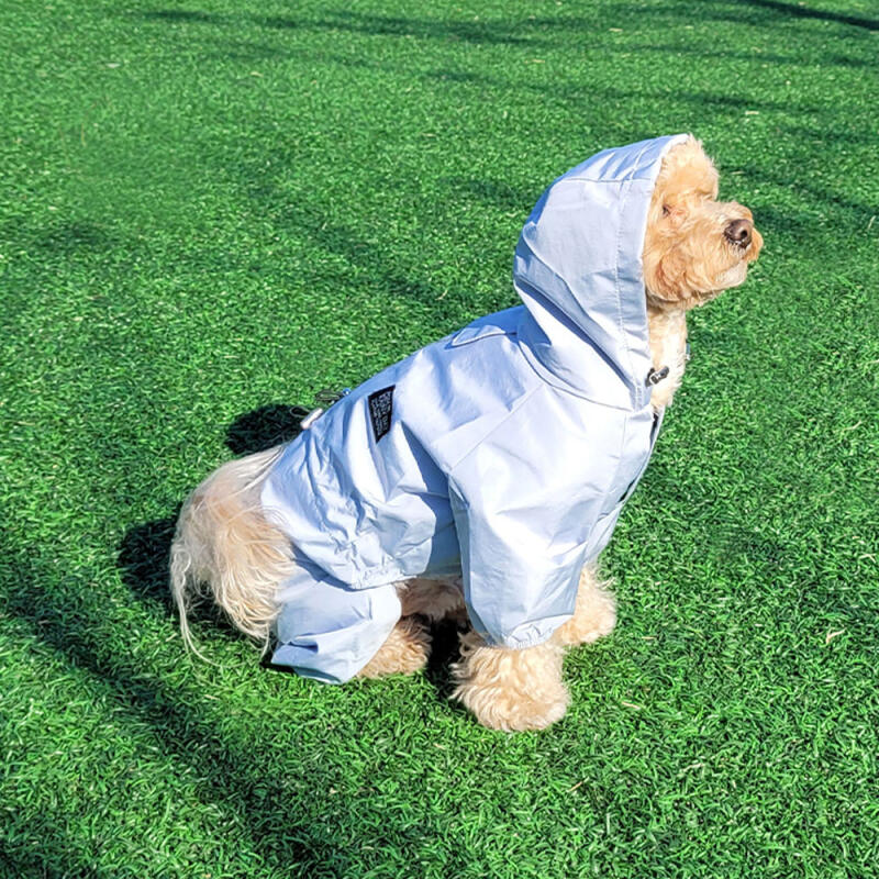 All-in-one dog raincoat windbreaker for dogs