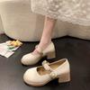 Mary Jane Shoes New Spring Thick Heel High Heel with Skirt Small Leather Shoes Fairy Gentle Wind Single Shoes