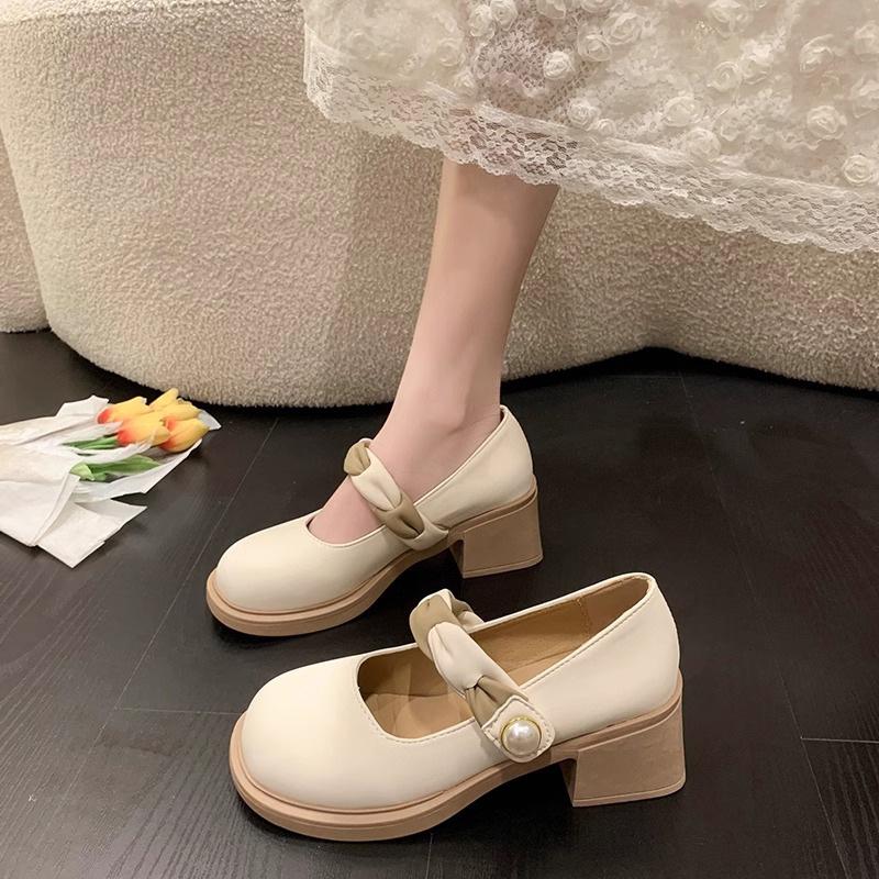 Mary Jane Shoes New Spring Thick Heel High Heel with Skirt Small Leather Shoes Fairy Gentle Wind Single Shoes