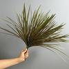 4pcs Nordic Simulation Grass Plastic Calamus Green Plant Floral Shopping Mall Decoration Artificial Orchid Leaves Plants