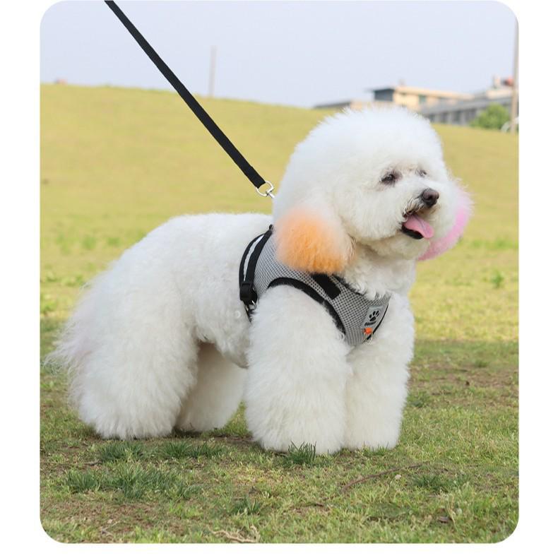 Reflective Mesh Pet Harness & Leash for Cats and Dogs