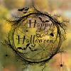 Easy Peel Halloween Clings Happy Static Window Stickers, Black Spider Web And Bat Silhouette Decals, Durable Art Self-Adhesive Glass Waterproof