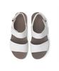 Rockport Ridge Ii Qtr Multi (Cj1371)