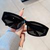 TR90 Cat-Eye Sunglasses 2023: Trendy Street Style with Sun Protection