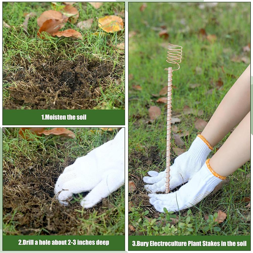 6pcs 11.8in Electroculture Plant Stakes for Growing Garden Plants and Vegetables