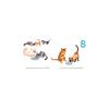 Cats: A Cat Counting Book Count on cats as a fun way to