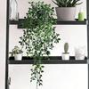 Simulated Plants Maintenance-Free Evergreen Eucalyptus Branches Natural Look Fake Plant Office Home Decor