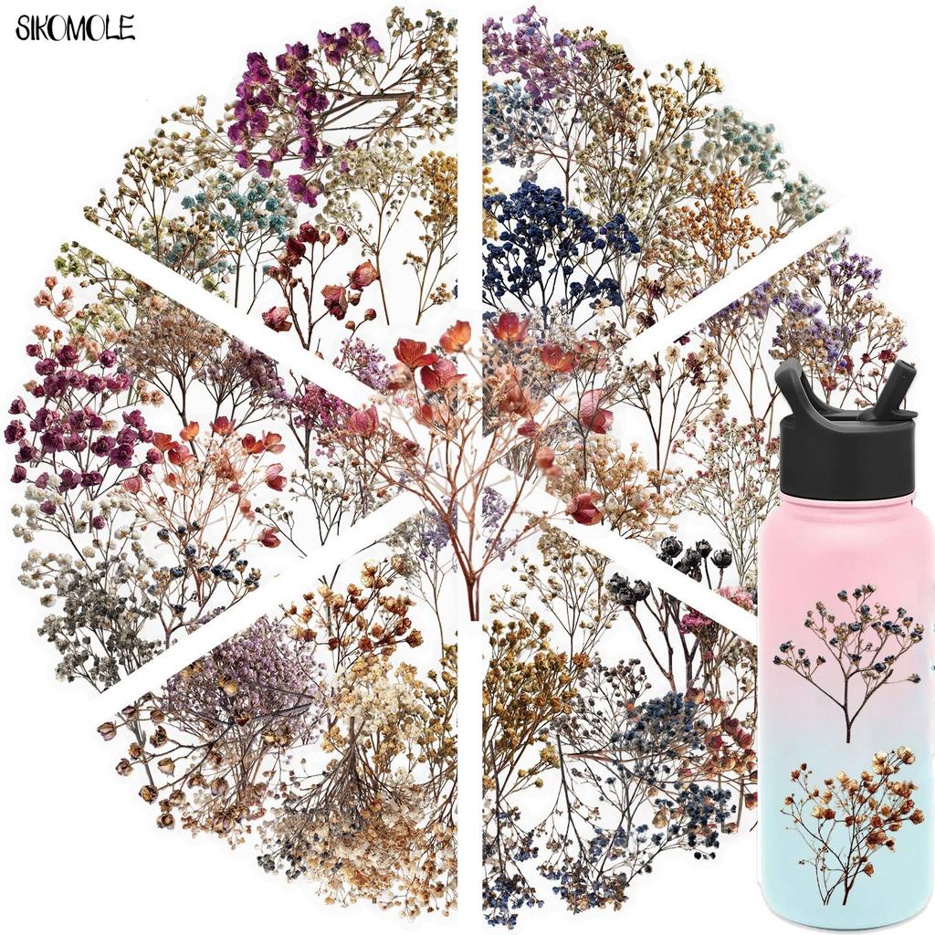 50PCS Retro Dried Flower Gypsophila Transparent PET Stickers DIY Phone Case Skateboard Water Bottle Decor Toy Sticker Pack
