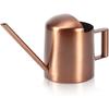 Small Watering Can, 10oz/300ml Stainless Steel Water Can for Indoor Plants Small Long Spout Watering Pot for House Plants, Succulents and Bonsai