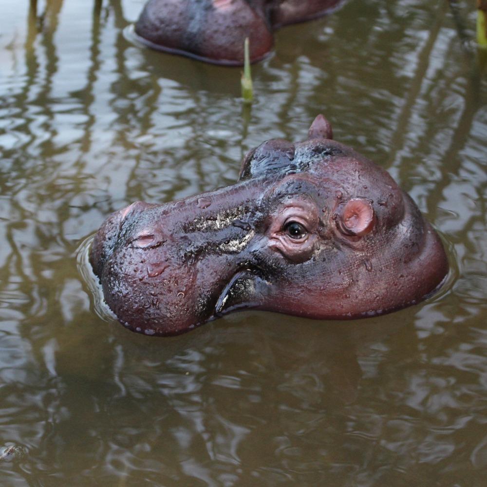 Zábavné plovoucí hroší ozdoby Pryskyřičné řemeslo Zvířecí figurky Dekorace Dekorace nádvoří