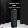 Runpu Professional Line Array Speaker for Conferences (CN version)