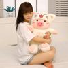 Creative Transforming Pig Plush Toy Changeable Stuffed Animal Cuddle Buddy for Sleep Anxiety Relief Soothing Comfort Gift Doll