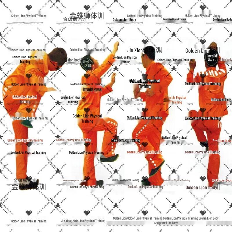 Golden Lion Physical Training Wall Target Paper Set