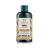 Ginger Scalp Care Shampoo 250ML