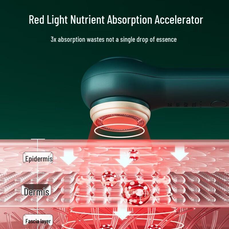 BoSidin D-1201 Multifunction Facial Beauty Device