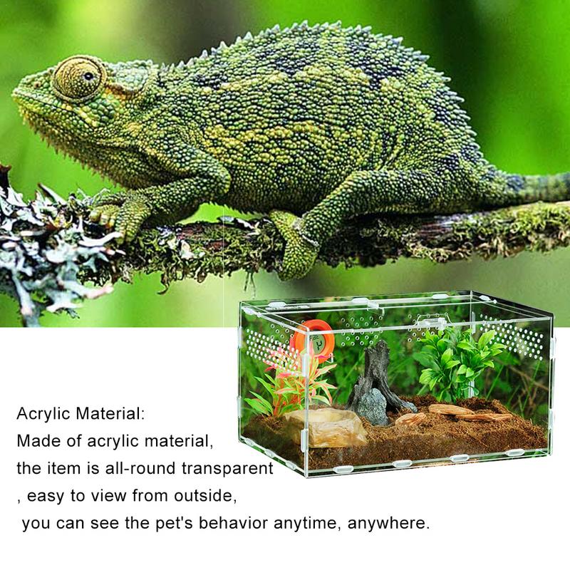 Transparent Acrylic Box Terrarium for Reptile and Amphibian Cricket Turtle Spider Snail Glass Shelter Terarium Terraria Gecko