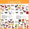 Conjunto de Modelos de Animais Cavalo Para Crianças Pvc Realista Estático Coleção Para Brincadeira Educacional