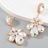 Champagne AB Crystal Floral Earrings Extravagant Dangle Earrings for Gala PD1821