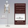 Korean Style Flat Body Female Mannequin with Wide Shoulders for Women's Clothing Display