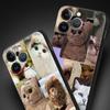 Cute Cat Photo Collage Print Phone Case for iPhone 17 16 15 14 13 12 11 16E Series Pro Max Plus Double Layer Protection