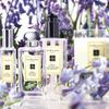 Jo Malone Wild Bluebell Eau de Cologne 50 ml transparent