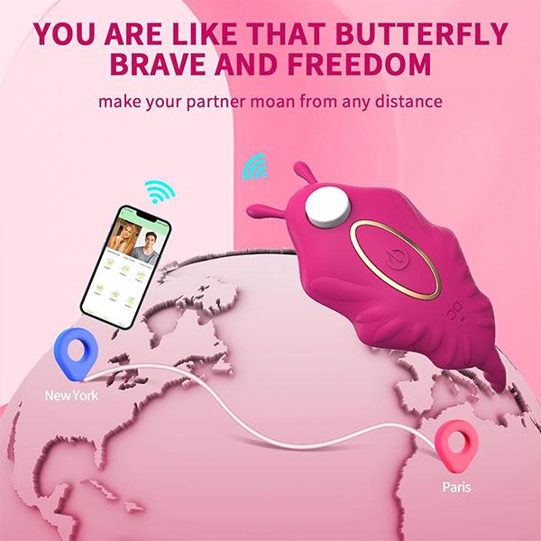 Wearable Vibrator Female Sex Toys, G Spot Panty Vibrator for Clitoral Stimulation,App Controlled Vibrator for Women