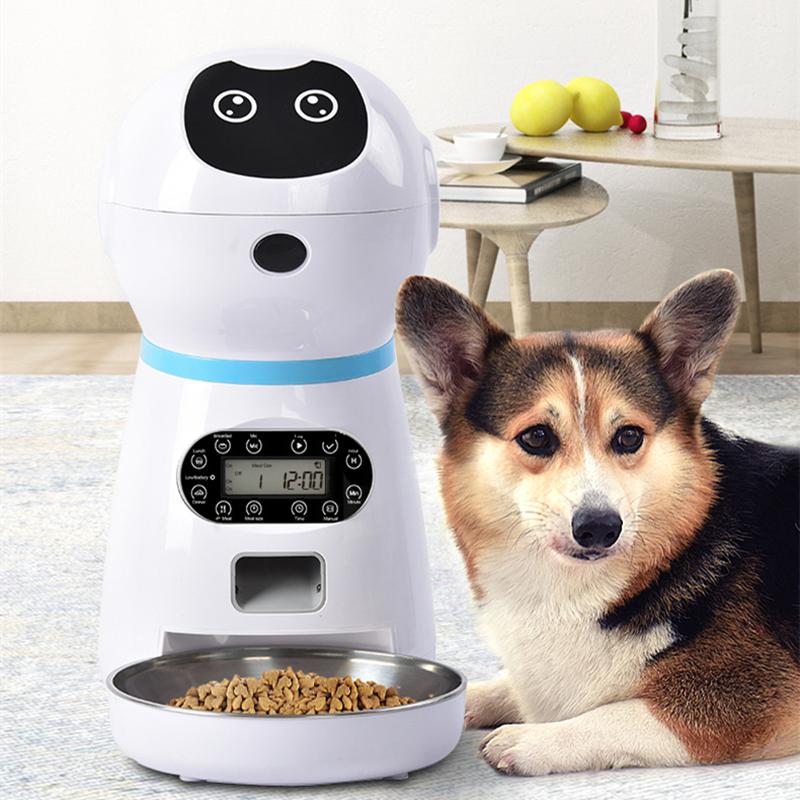 cat feeding timer bowls