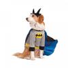 Dog Costume