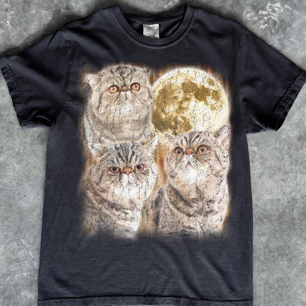 Exotic Shorthair Cats Howling Moon Distressed Graphic Tee, Vintage Cat Lover Shirt
