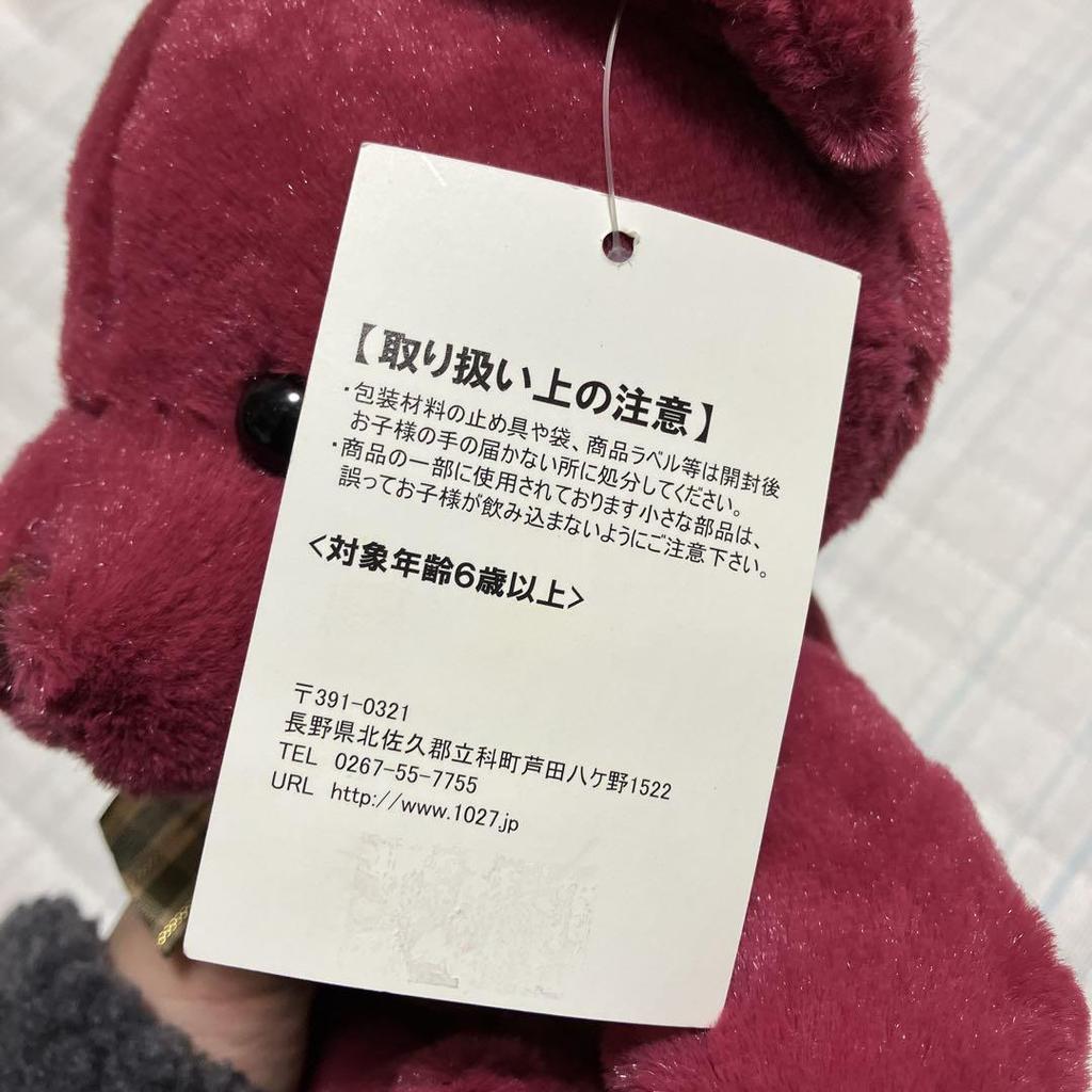 [USED] Rare Tateshina Teddy Bear Museum Red Teddy Bear
