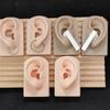 Silicone Ear Model for Piercing Practice and Jewelry Display Realistic Left and Right Human Ear Simulation Ears Replicas