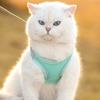 Reflective Breathable Anti-Escape Cat Harness & Leash Set for Small Pets