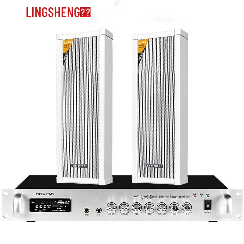LINGSHENG Wasserdichtes PA-System Lautsprecher-Set für den Außenbereich CN-Stecker (Adapter enthalten)