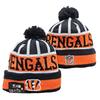 Lion Rugby Knit Hat, Dolphin Outdoor Warm Sun Hat, 49ers Hip Hop Ear Protection Hat