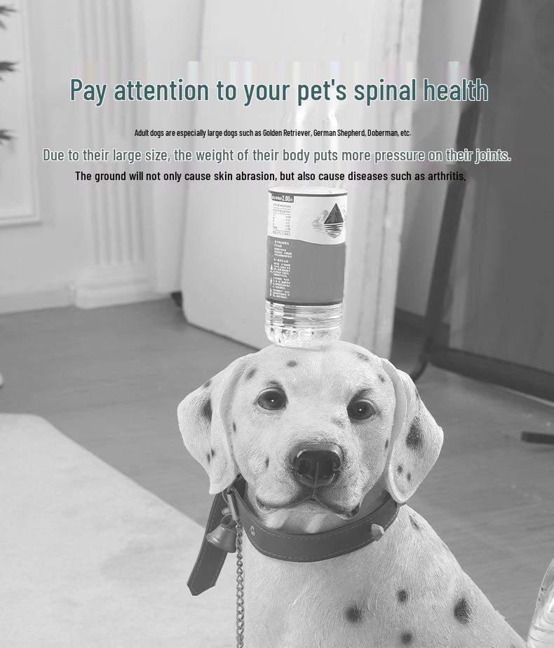 All-Season Bite-Resistant Pet Mat: Washable Non-Slip Dog & Cat Cushion