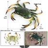 Ocean Crab Simulation Toy Set: Includes Hermit, Swimming, and Three-Spot Plastic Models