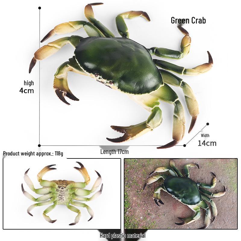 Ocean Crab Simulation Toy Set: Includes Hermit, Swimming, and Three-Spot Plastic Models