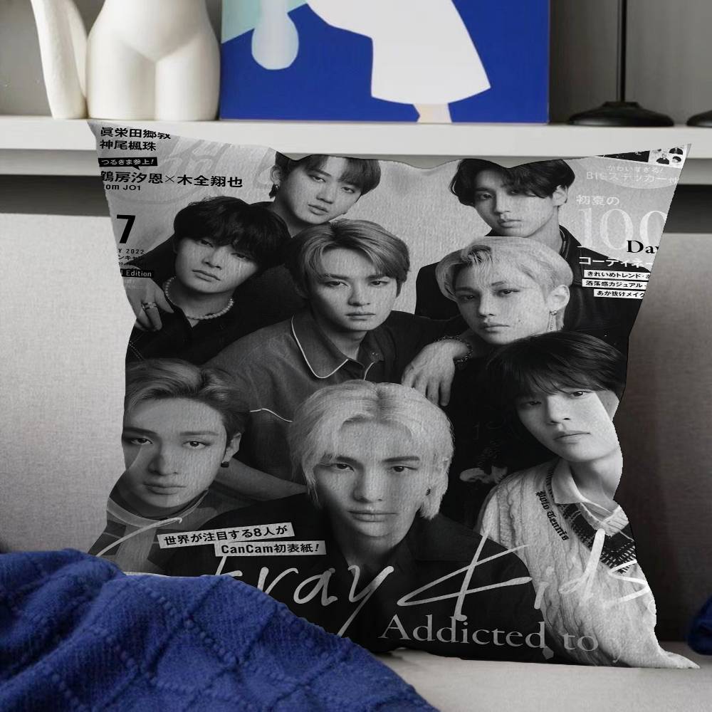 Federe Kpop S-Stray K-Kids Cartone Animato Divano Decorativo Casa Stampa Double-sided Peluche Corto Carino Federa Cuscino
