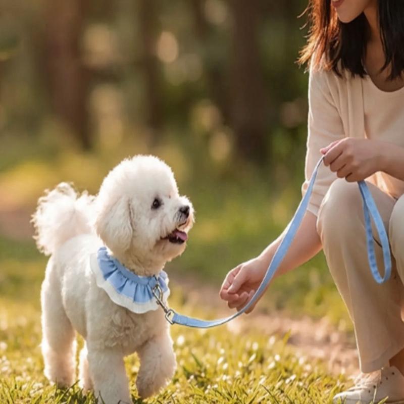Breathable Dog Harness for Small Dogs No Pull Design Easy Walk Collar Adjustable Fit Leashes