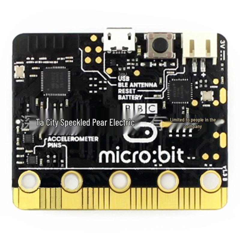 Micro:bit Python Board for Kids & Teens