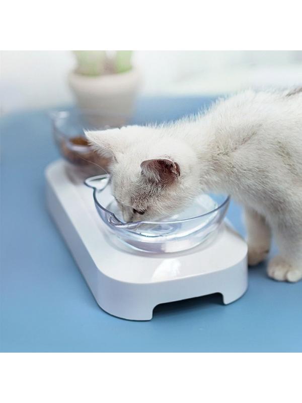 Buy Plastic Cat Neck Protection Dish 15 Degree Tilted Feeder Double