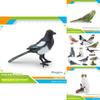 Papageien Eulen Elstern Vogelskulpturen Sammlung Mit Montage Für Naturszene Basteln Und Dekoration
