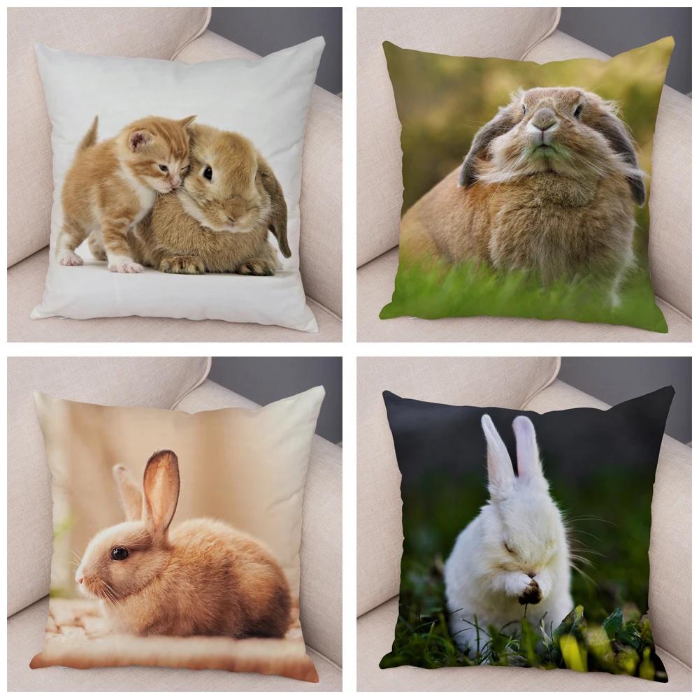 Funda De Almohada Para Sof, Decoracin Del Hogar, Animal De Mascota, Lindo Conejo, Funda De Cojín