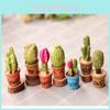 Beautifully Crafted Mini Cactus Resin Decoration For Unique Garden Enhancements