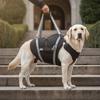 Dog Support Harness with Reflective Straps Rehabilitation Mobility