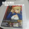 [USED] Fate/stay Night Saber Photobook
