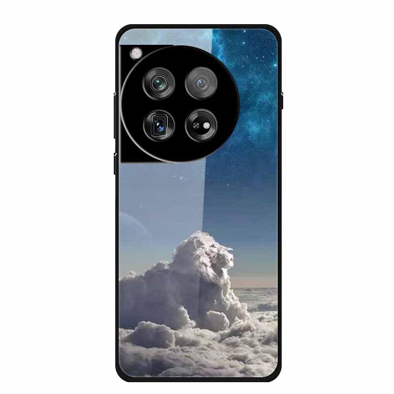 Personalized Seven-Colored Tempered Glass Phone Case for OnePlus 12 - Unisex